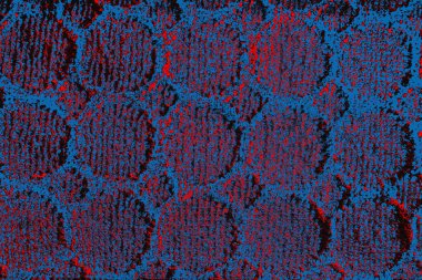 arkaplan olarak soyut renk dokusu, duvar kağıdını kopyala 