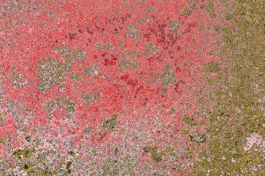 Soyut sanat duvar resmi. Modern, çağdaş sanat geçmişi