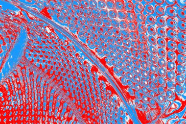 arkaplan olarak soyut renk dokusu, duvar kağıdını kopyala 