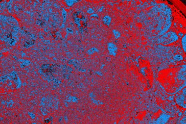 soyut renk dokusu, arkaplan, duvar kağıdını kopyala