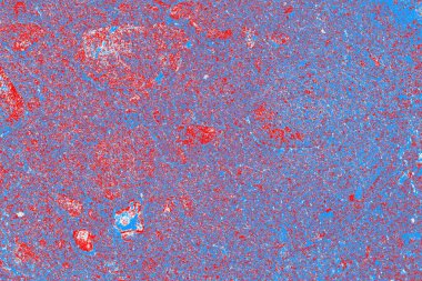 arkaplan olarak soyut renk dokusu, duvar kağıdını kopyala 