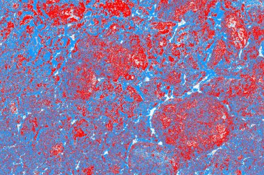 arkaplan olarak soyut renk dokusu, duvar kağıdını kopyala 