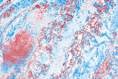 arkaplan olarak soyut renk dokusu, duvar kağıdını kopyala 