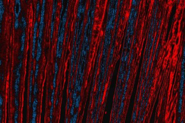 arkaplan olarak soyut renk dokusu, duvar kağıdını kopyala 