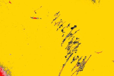 Soyut sanat duvar resmi. Modern, çağdaş sanat geçmişi