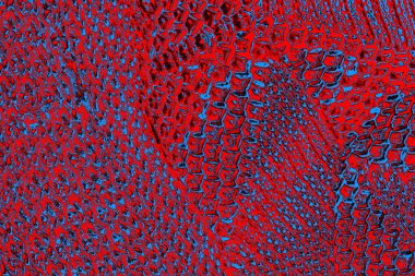 soyut renk dokusu, arkaplan, duvar kağıdını kopyala