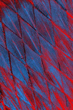 arkaplan olarak soyut renk dokusu, duvar kağıdını kopyala 