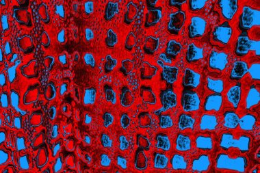 soyut renk dokusu, arkaplan, duvar kağıdını kopyala