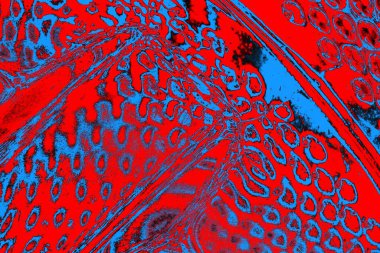 soyut renk dokusu, arkaplan, duvar kağıdını kopyala