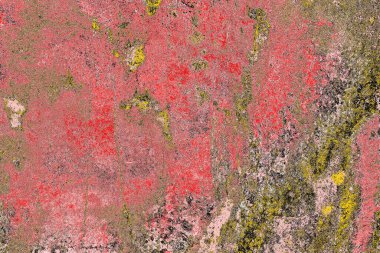 Soyut sanat duvar resmi. Modern, çağdaş sanat geçmişi