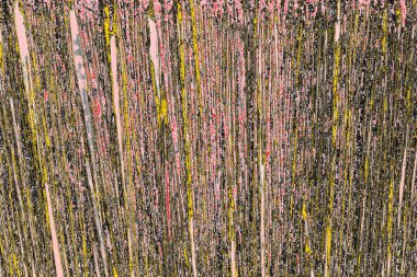 Soyut sanat duvar resmi. Modern, çağdaş sanat geçmişi