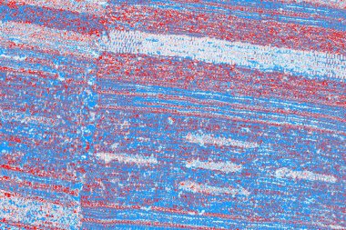 arkaplan olarak soyut renk dokusu, duvar kağıdını kopyala 