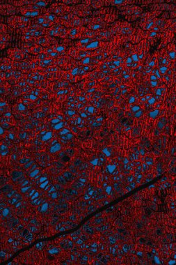 arkaplan olarak soyut renk dokusu, duvar kağıdını kopyala 