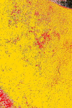 Soyut sanat duvar resmi. Modern, çağdaş sanat geçmişi