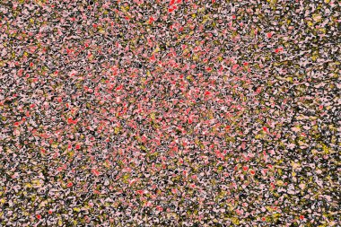 Soyut sanat duvar resmi. Modern, çağdaş sanat geçmişi