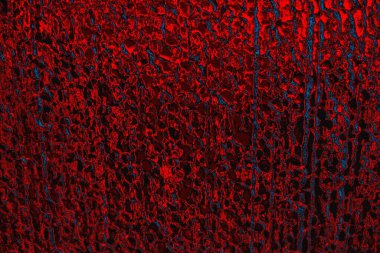 arkaplan olarak soyut renk dokusu, duvar kağıdını kopyala 