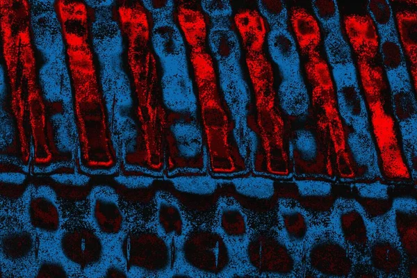 arkaplan olarak soyut renk dokusu, duvar kağıdını kopyala 