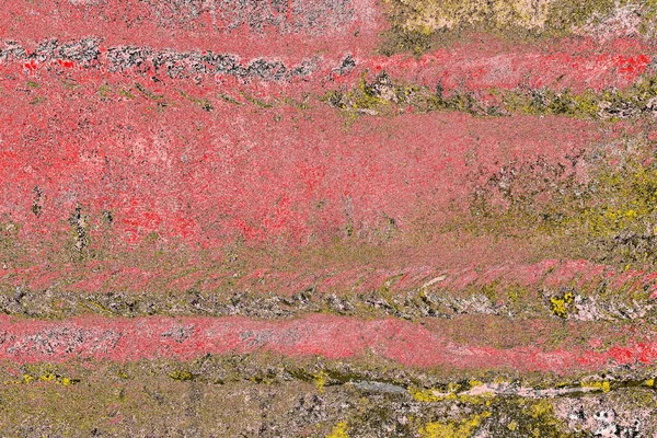 Soyut sanat duvar resmi. Modern, çağdaş sanat geçmişi