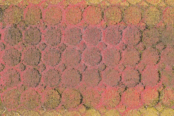 Soyut sanat duvar resmi. Modern, çağdaş sanat geçmişi