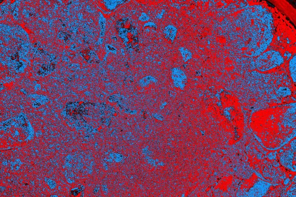 soyut renk dokusu, arkaplan, duvar kağıdını kopyala