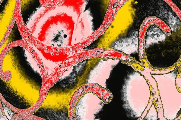 Soyut sanat duvar resmi. Modern, çağdaş sanat geçmişi