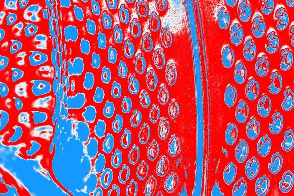 arkaplan olarak soyut renk dokusu, duvar kağıdını kopyala 