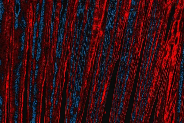 arkaplan olarak soyut renk dokusu, duvar kağıdını kopyala 