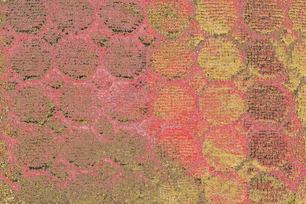 Soyut sanat duvar resmi. Modern, çağdaş sanat geçmişi