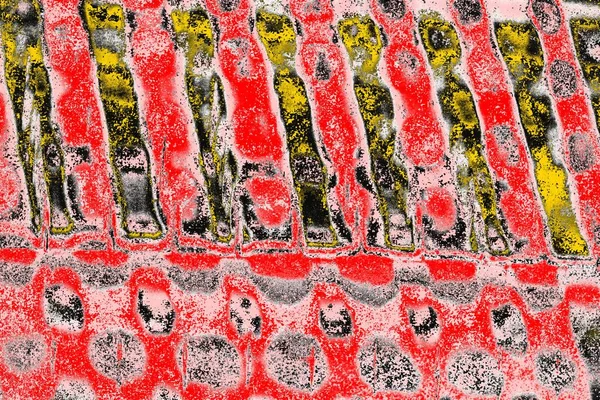 Soyut sanat duvar resmi. Modern, çağdaş sanat geçmişi