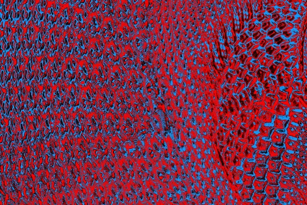 soyut renk dokusu, arkaplan, duvar kağıdını kopyala