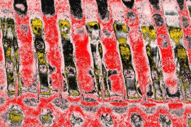 Soyut sanat duvar resmi. Modern, çağdaş sanat geçmişi