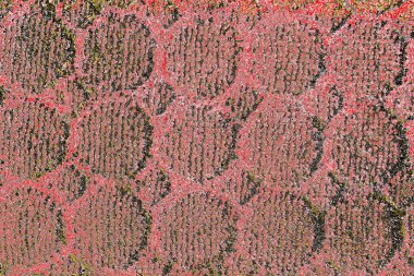 Soyut sanat duvar resmi. Modern, çağdaş sanat geçmişi