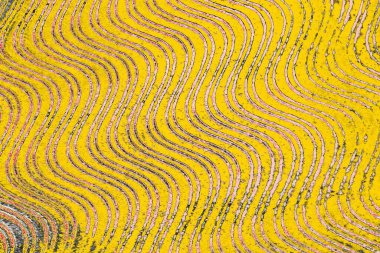 Soyut sanat duvar resmi. Modern, çağdaş sanat geçmişi