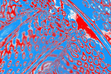 arkaplan olarak soyut renk dokusu, duvar kağıdını kopyala 