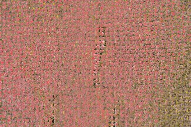 Soyut sanat duvar resmi. Modern, çağdaş sanat geçmişi