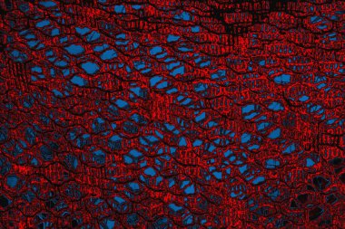 arkaplan olarak soyut renk dokusu, duvar kağıdını kopyala 