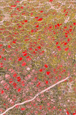 Soyut sanat duvar resmi. Modern, çağdaş sanat geçmişi