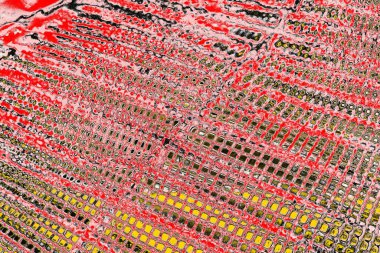 Soyut sanat duvar resmi. Modern, çağdaş sanat geçmişi