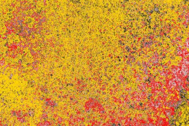 Soyut sanat duvar resmi. Modern, çağdaş sanat geçmişi