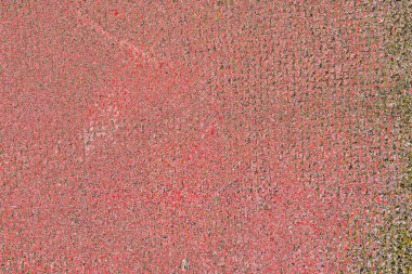 Soyut sanat duvar resmi. Modern, çağdaş sanat geçmişi