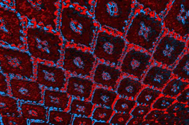 soyut renk dokusu, arkaplan, duvar kağıdını kopyala