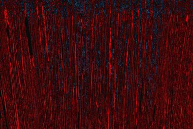 arkaplan olarak soyut renk dokusu, duvar kağıdını kopyala 