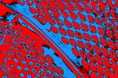 soyut renk dokusu, arkaplan, duvar kağıdını kopyala