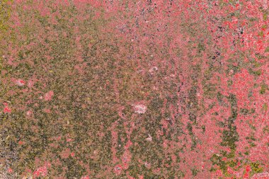 Soyut sanat duvar resmi. Modern, çağdaş sanat geçmişi