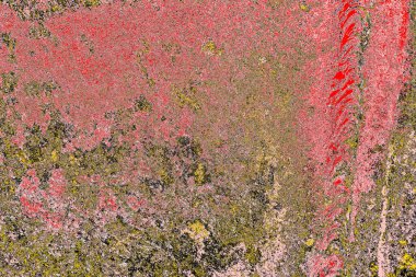 Soyut sanat duvar resmi. Modern, çağdaş sanat geçmişi