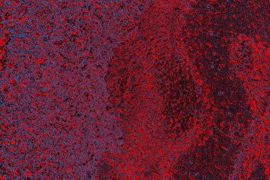 soyut renk dokusu, arkaplan, duvar kağıdını kopyala