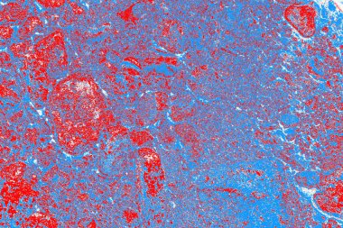 arkaplan olarak soyut renk dokusu, duvar kağıdını kopyala 