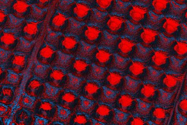 soyut renk dokusu, arkaplan, duvar kağıdını kopyala