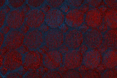 arkaplan olarak soyut renk dokusu, duvar kağıdını kopyala 