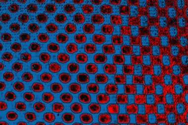 Soyut sanat duvar resmi. Modern, çağdaş sanat geçmişi